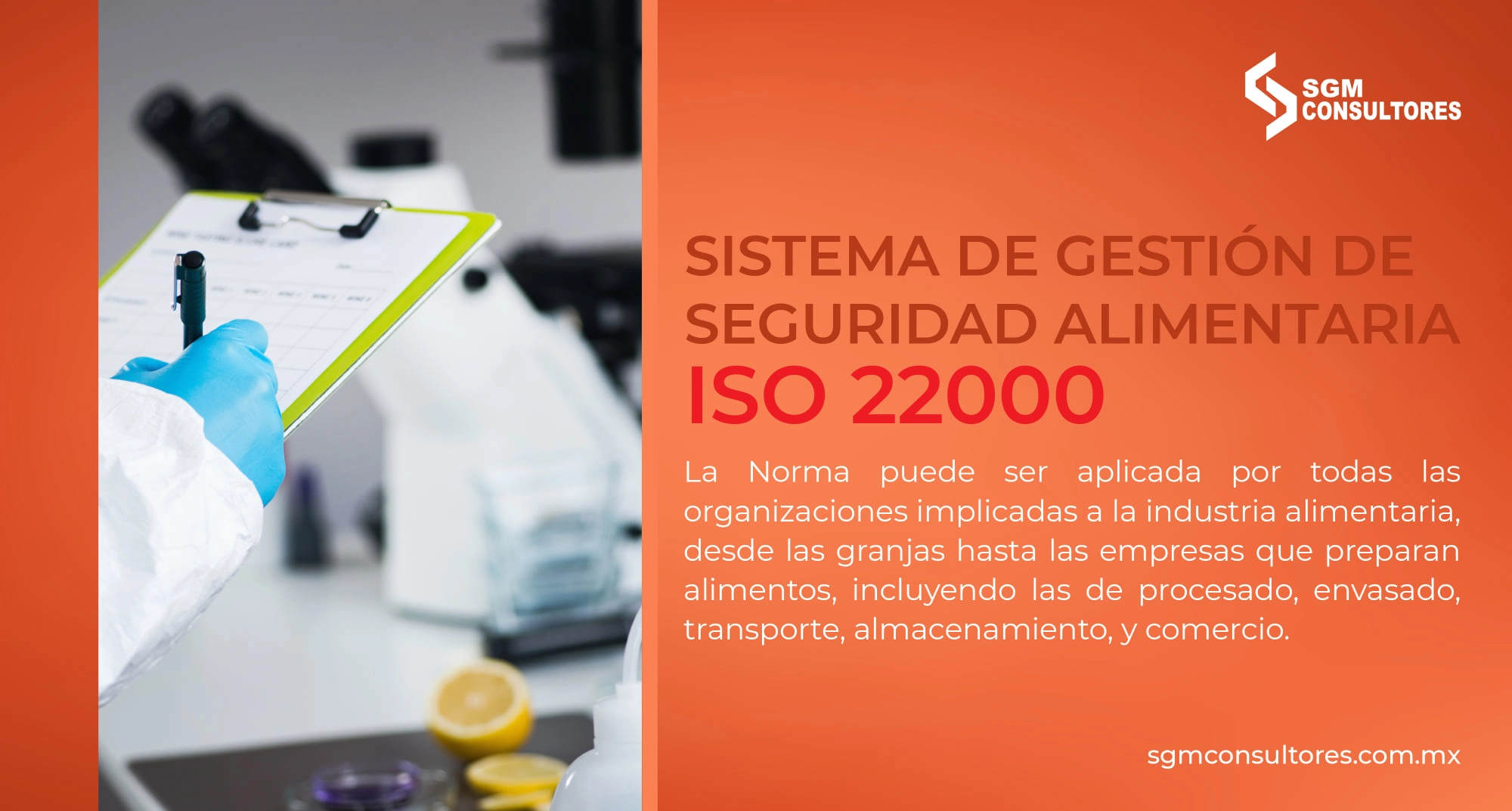 SGM Consultores